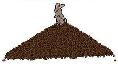 Rabbit on a Pile of Poo